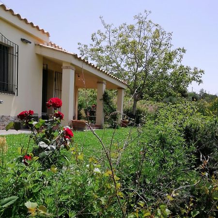 S'Orrosa Casa Vacanze Bifamiliare In Montagna Panorama Stupendo Sardegna Seulo ภายนอก รูปภาพ