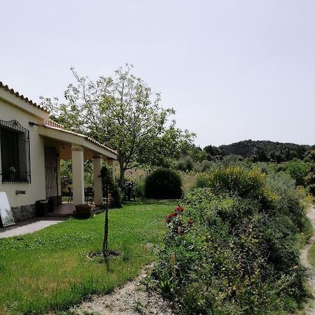 S'Orrosa Casa Vacanze Bifamiliare In Montagna Panorama Stupendo Sardegna Seulo ภายนอก รูปภาพ