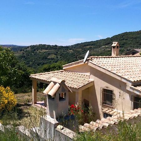 S'Orrosa Casa Vacanze Bifamiliare In Montagna Panorama Stupendo Sardegna Seulo ภายนอก รูปภาพ