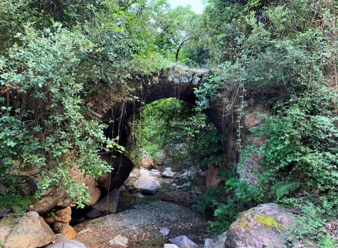 S'Orrosa Casa Vacanze Bifamiliare In Montagna Panorama Stupendo Sardegna Seulo ภายนอก รูปภาพ