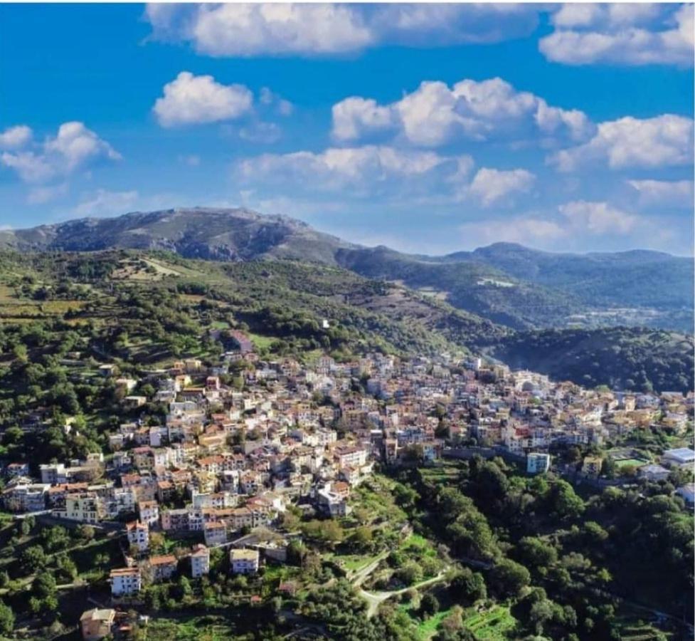 S'Orrosa Casa Vacanze Bifamiliare In Montagna Panorama Stupendo Sardegna Seulo ภายนอก รูปภาพ