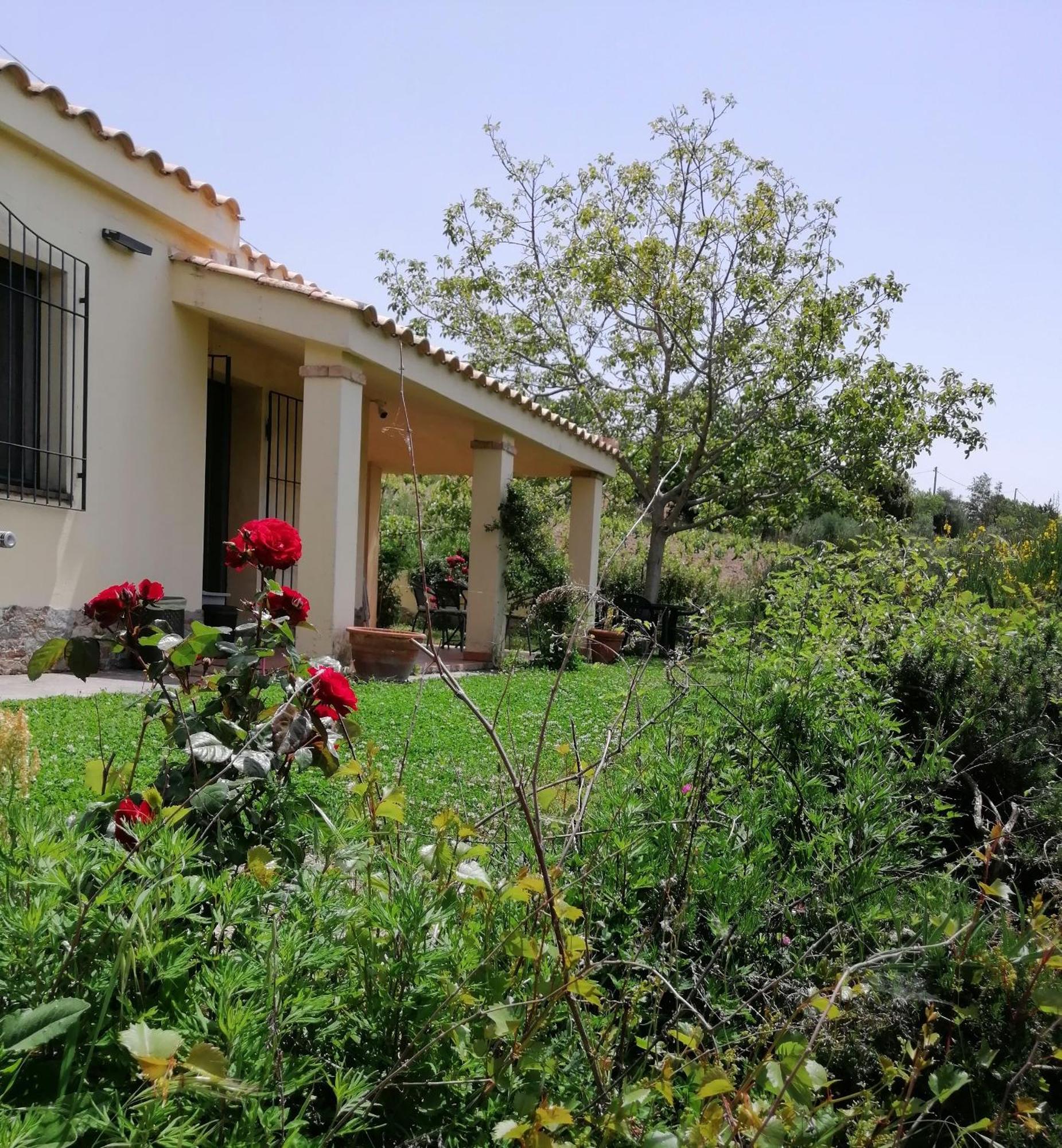 S'Orrosa Casa Vacanze Bifamiliare In Montagna Panorama Stupendo Sardegna Seulo ภายนอก รูปภาพ