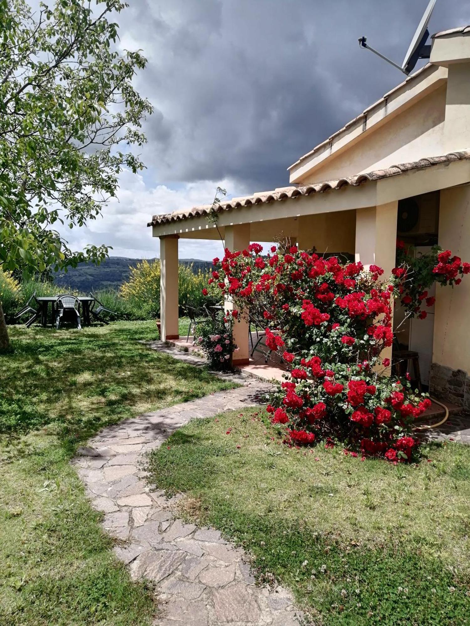 S'Orrosa Casa Vacanze Bifamiliare In Montagna Panorama Stupendo Sardegna Seulo ภายนอก รูปภาพ