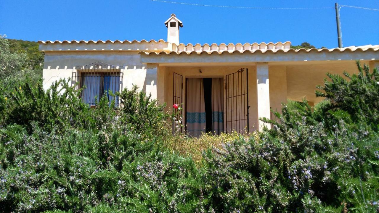 S'Orrosa Casa Vacanze Bifamiliare In Montagna Panorama Stupendo Sardegna Seulo ภายนอก รูปภาพ