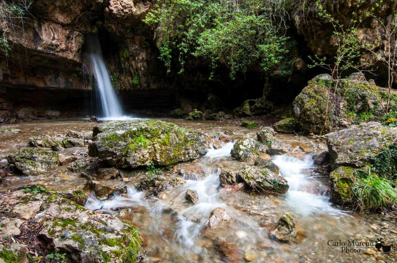 S'Orrosa Casa Vacanze Bifamiliare In Montagna Panorama Stupendo Sardegna Seulo ภายนอก รูปภาพ
