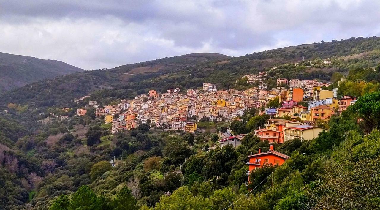 S'Orrosa Casa Vacanze Bifamiliare In Montagna Panorama Stupendo Sardegna Seulo ภายนอก รูปภาพ