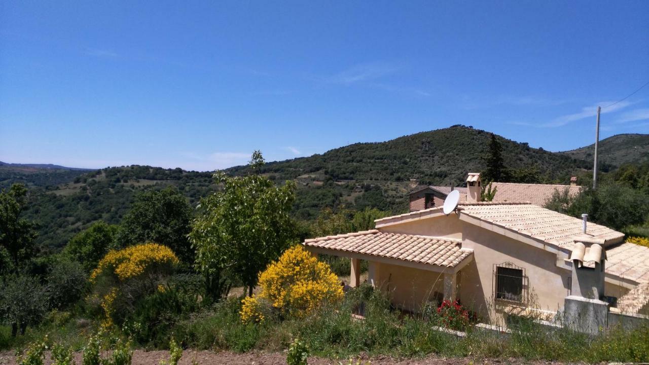 S'Orrosa Casa Vacanze Bifamiliare In Montagna Panorama Stupendo Sardegna Seulo ภายนอก รูปภาพ