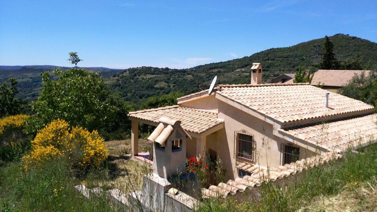 S'Orrosa Casa Vacanze Bifamiliare In Montagna Panorama Stupendo Sardegna Seulo ภายนอก รูปภาพ