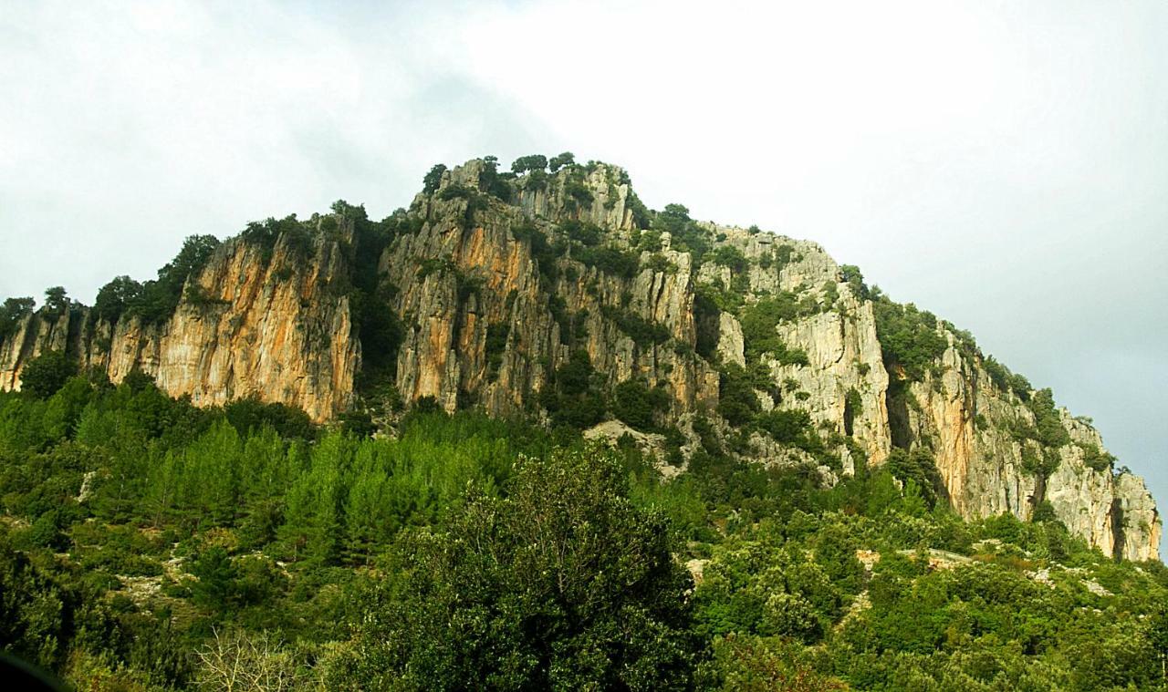 S'Orrosa Casa Vacanze Bifamiliare In Montagna Panorama Stupendo Sardegna Seulo ภายนอก รูปภาพ