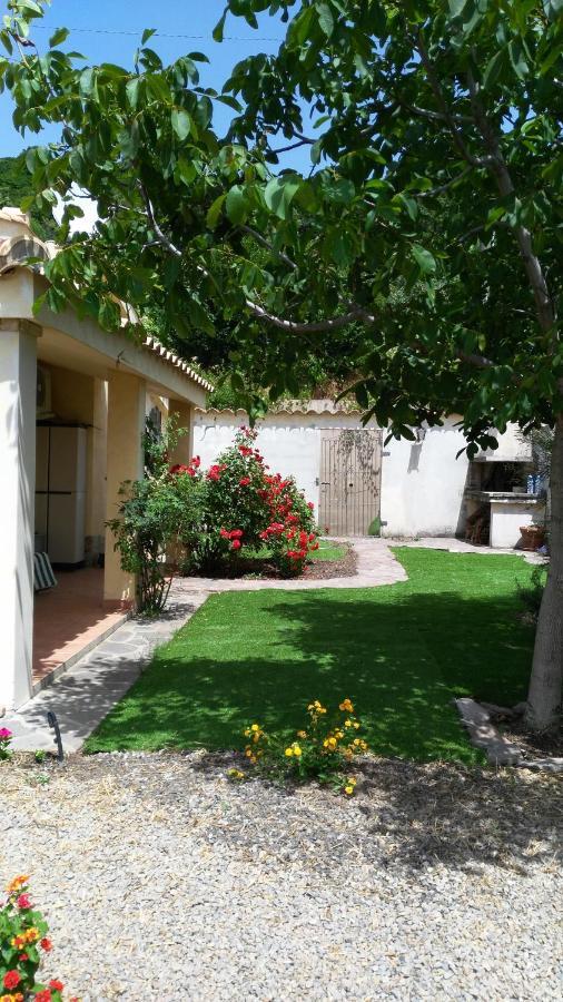 S'Orrosa Casa Vacanze Bifamiliare In Montagna Panorama Stupendo Sardegna Seulo ภายนอก รูปภาพ