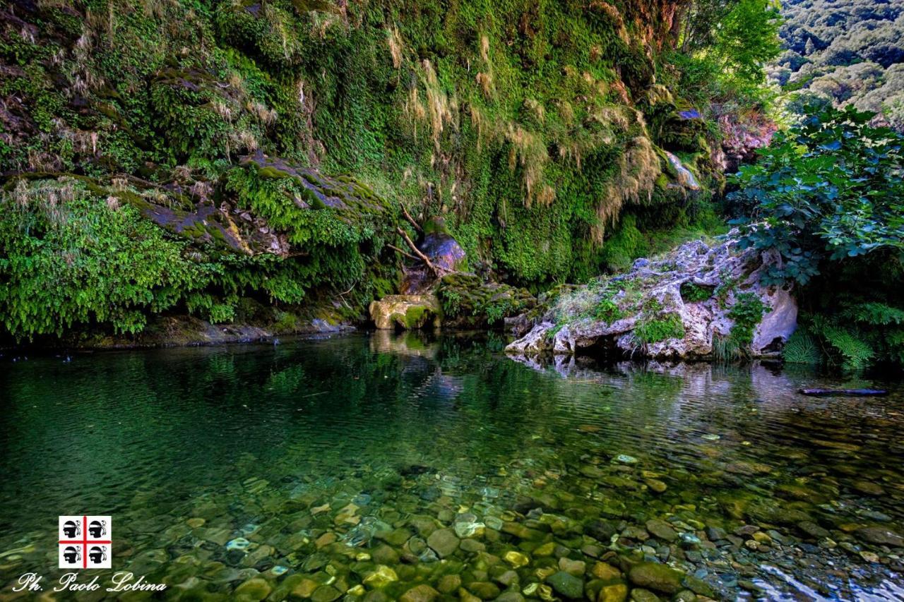 S'Orrosa Casa Vacanze Bifamiliare In Montagna Panorama Stupendo Sardegna Seulo ภายนอก รูปภาพ